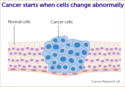 Cancer Cells Info